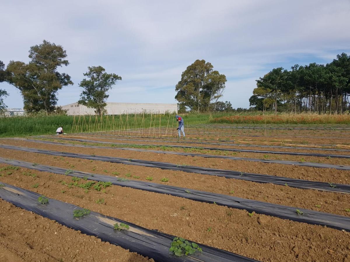 פונטה גלריה Agriturismo Il Casale מראה חיצוני תמונה