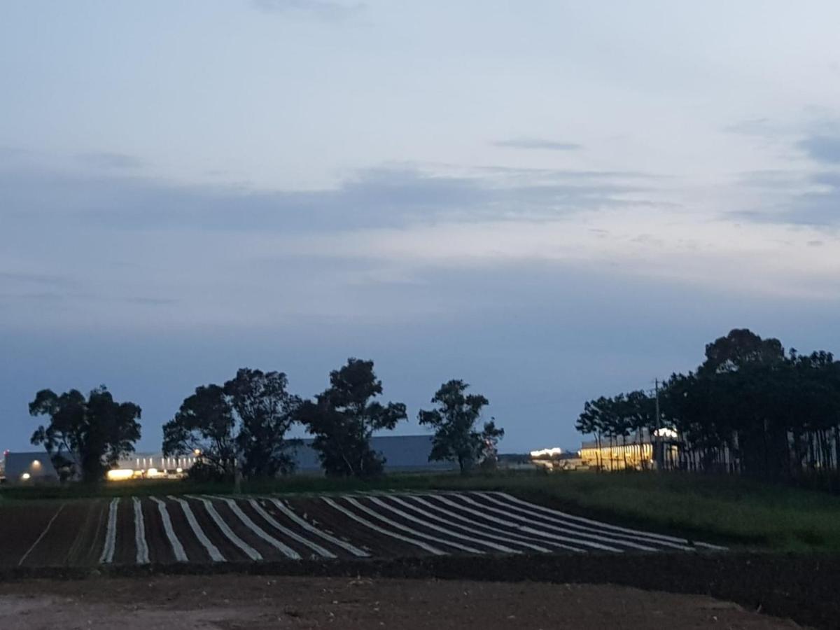 פונטה גלריה Agriturismo Il Casale מראה חיצוני תמונה