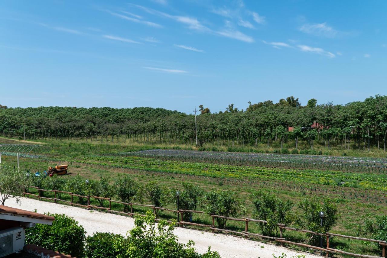 פונטה גלריה Agriturismo Il Casale מראה חיצוני תמונה